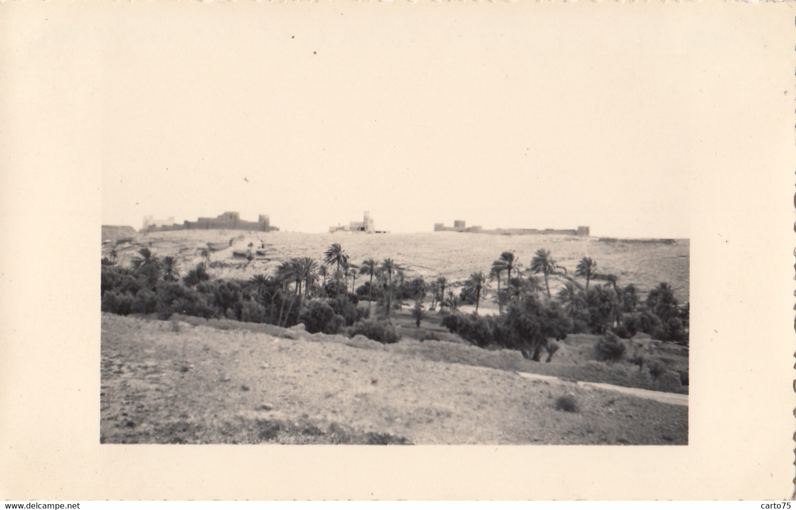 Photographie - Croisière En Méditerranée - Maroc - Tinghir Tinerhir - Le Gîte D'étape Et Les Palmiers - Fotografie