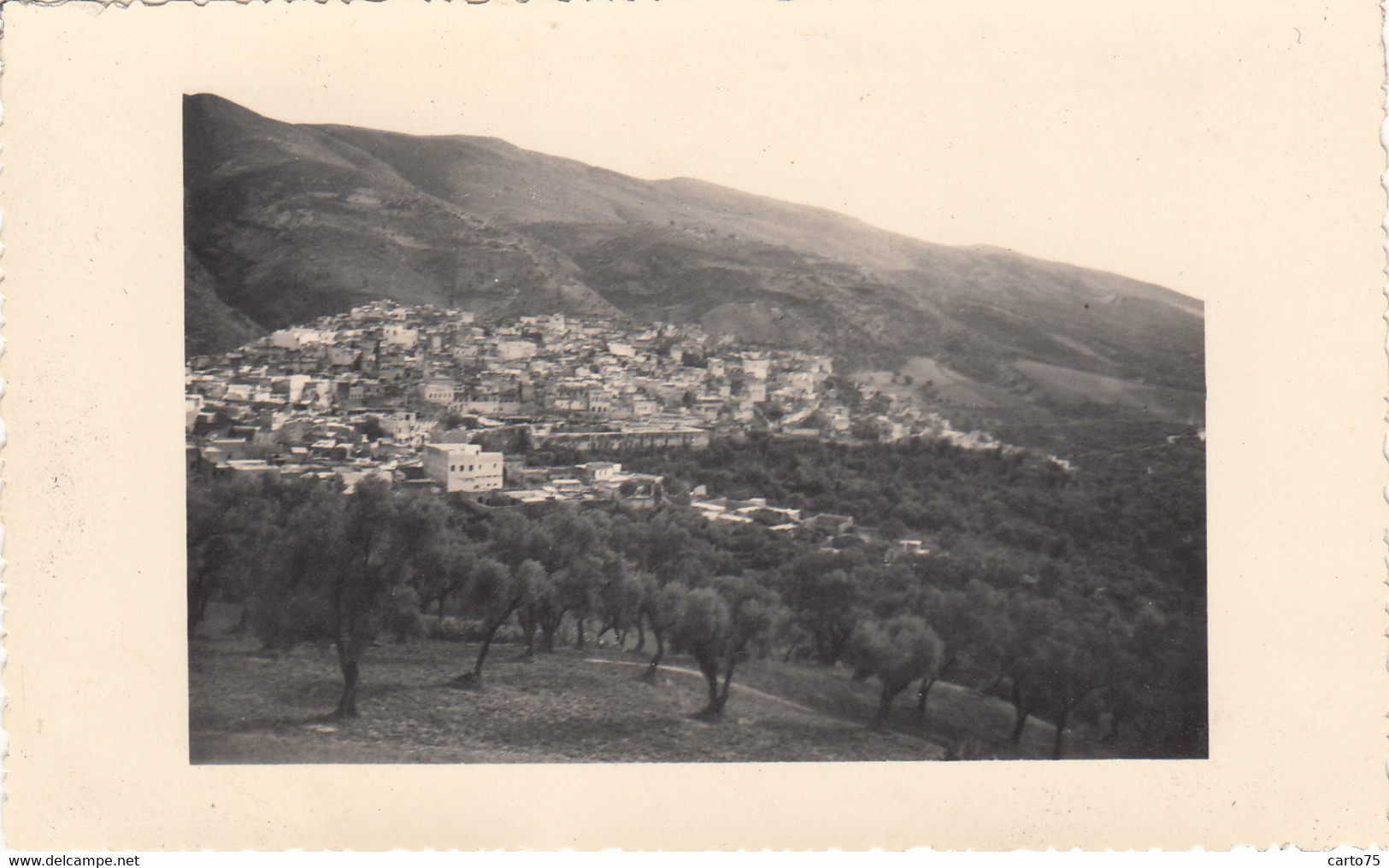 Photographie - Croisière En Méditerranée - Maroc - Moulay Idriss Zerhoun - Vue Générale - Photographs