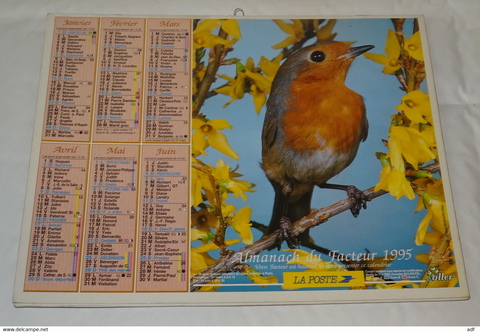 1995 CALENDRIER ( Double ) ALMANACH DU FACTEUR, LA POSTE, CANARIS, ROUGE GORGE, OLLER, VAR 83 - Formato Grande : 1991-00