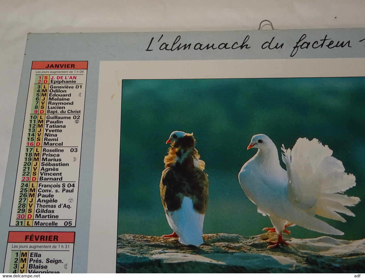 1994 CALENDRIER ( Double ) ALMANACH DU FACTEUR, LA POSTE, OISEAU, OISEAUX, OBERTHUR, MARNE 51 - Big : 1991-00