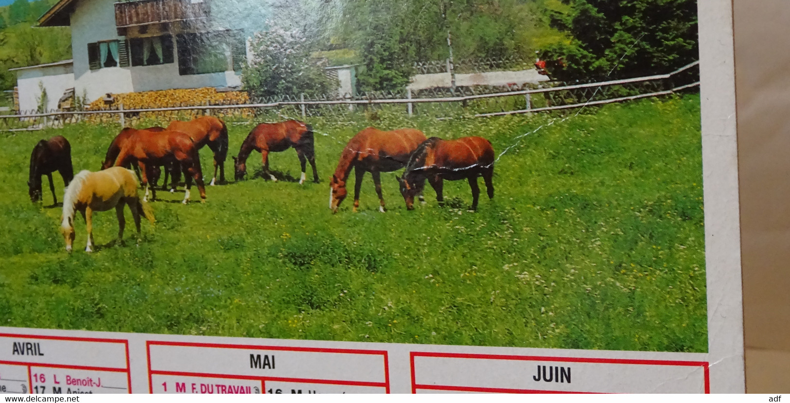 1990 CALENDRIER ( Double ) ALMANACH DU FACTEUR, LA POSTE, JUMENT ET SON POULAIN, CHEVAUX AU PRE, CARTIER BRESSON, VAR 83 - Groot Formaat: 1981-90