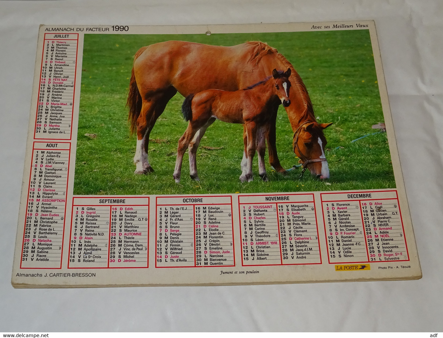 1990 CALENDRIER ( Double ) ALMANACH DU FACTEUR, LA POSTE, JUMENT ET SON POULAIN, CHEVAUX AU PRE, CARTIER BRESSON, VAR 83 - Grossformat : 1981-90