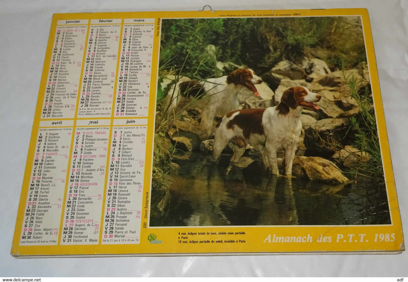 1985 CALENDRIER ( Double ) ALMANACH DES PTT, BIQUETTE ET CHEVREAU, EPAGNEULS, OLLER, VAR 83 - Grand Format : 1981-90