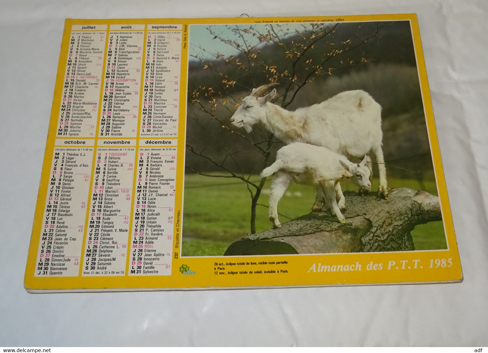 1985 CALENDRIER ( Double ) ALMANACH DES PTT, BIQUETTE ET CHEVREAU, EPAGNEULS, OLLER, VAR 83 - Grand Format : 1981-90
