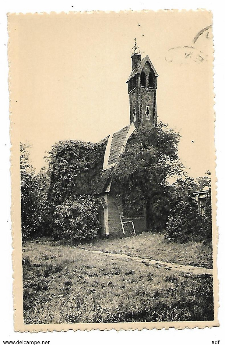 CPSM KAJOTSTERSTEHUIS " WITHOF ", SCHOTEN, OUDE KAPEL, Format 9 Cm Sur 14 Cm Environ, BELGIQUE - Schoten