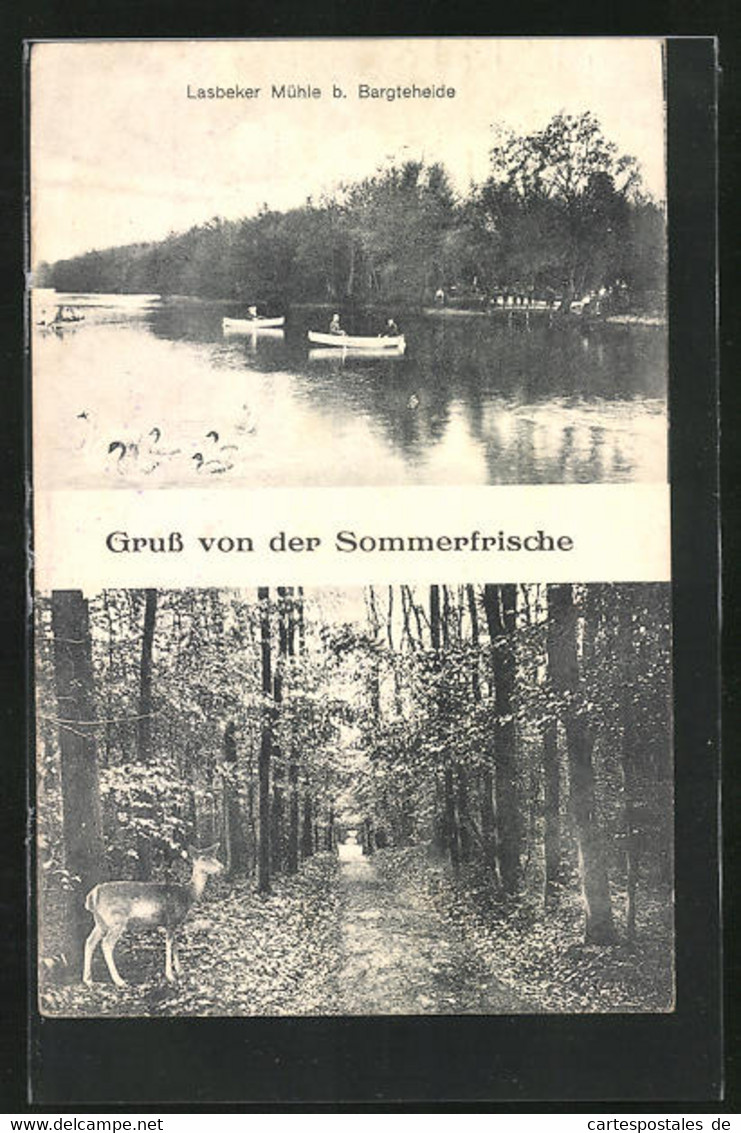 AK Lasbeker Mühle B. Bargteheide, Waldpartie Mit Reh, Flusspartie Mit Ruderbooten - Bargteheide