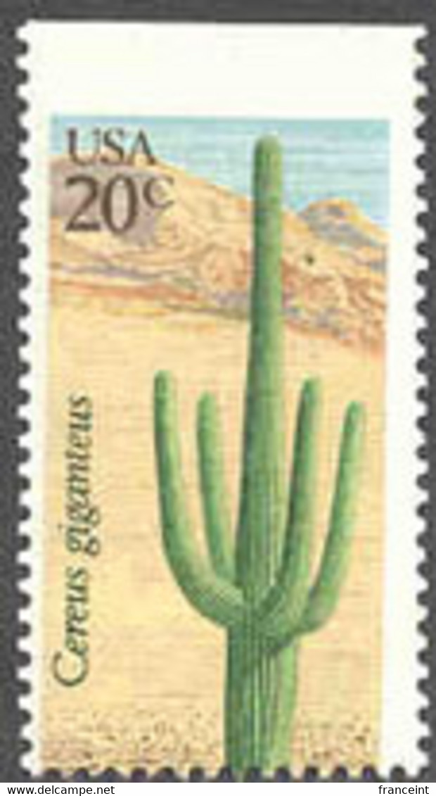 U.S.A. (1981b) Saguaro Cactus. Misperforation Resulting In Removal Of Wording At Bottom And Imperforate Top. Scott 1945 - Variedades, Errores & Curiosidades