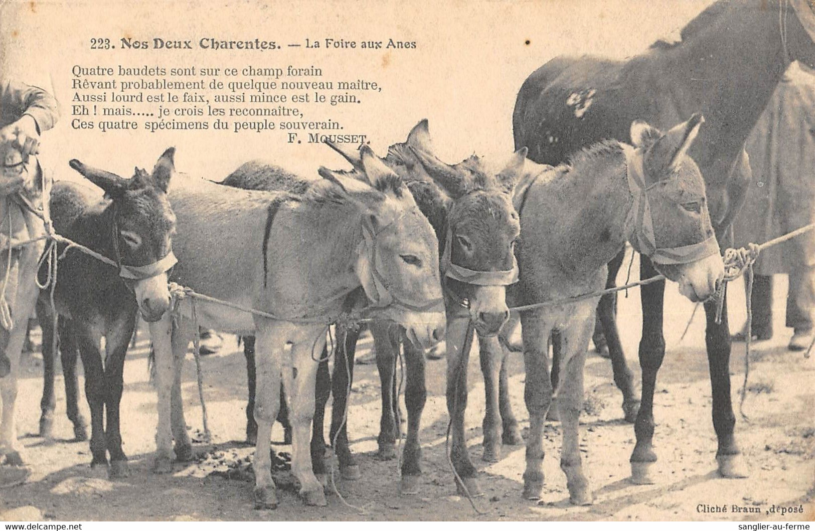 CPA 16 COGNAC MAISON ALBERT ROBIN COUR INTERIEURE DE L'ETABLISSEMENT - Cognac