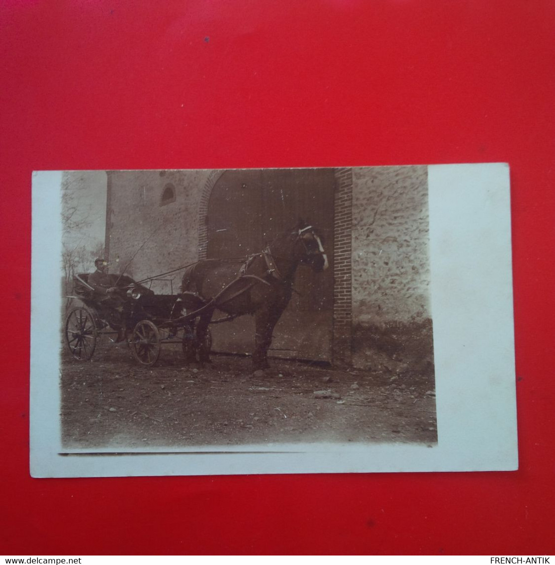 CARTE PHOTO LIEU A IDENTIFIER ATTELAGE CHEVAL - Pferde
