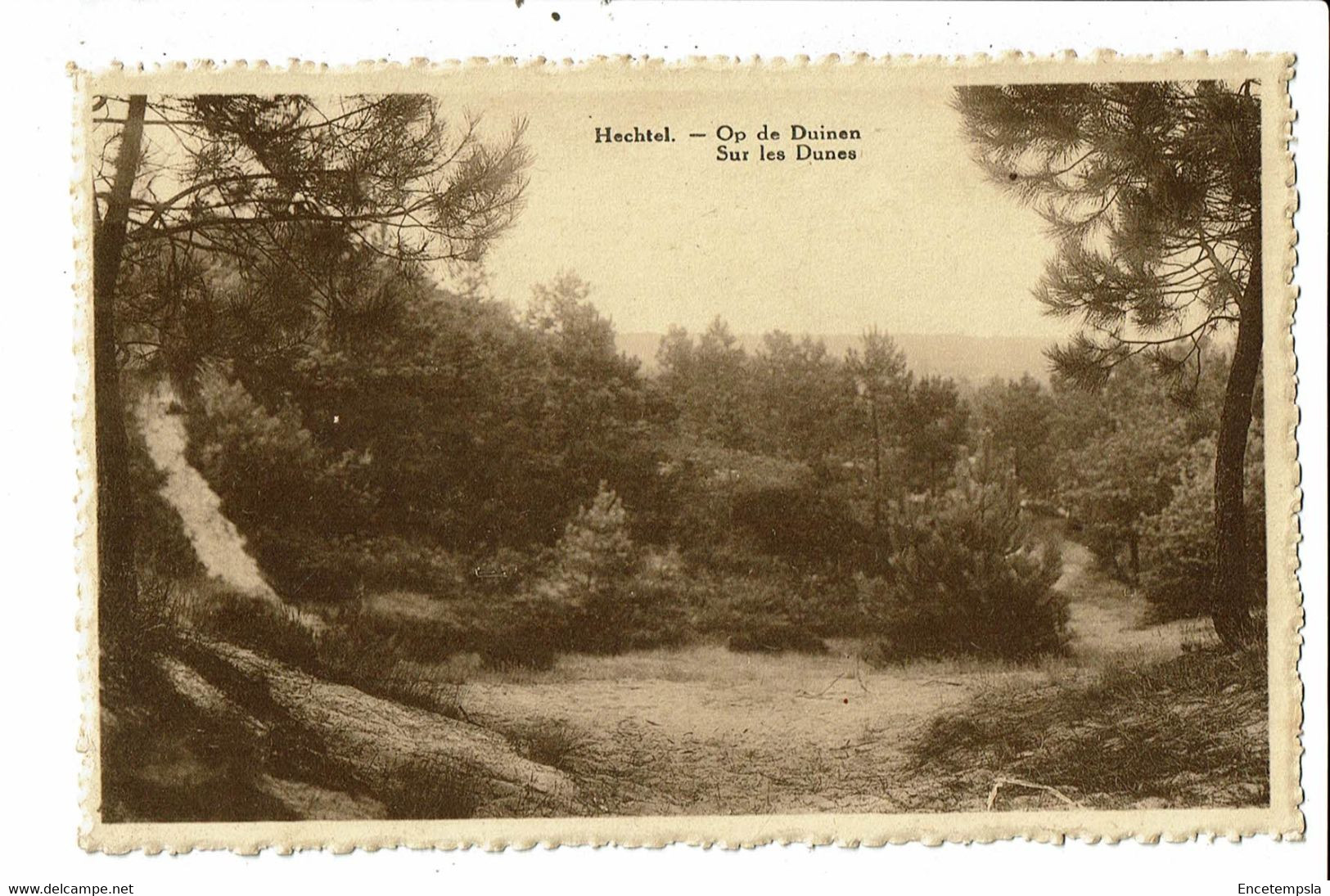 CPA  Carte Postale-Belgique-Hechtel- Sur Les Dunes   VM32524at - Hechtel-Eksel