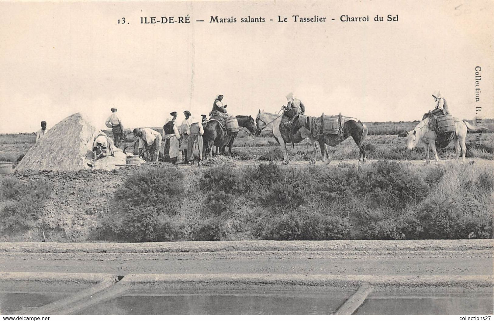 17-ILE-DE-RE- MARIAS SALANTS- LE TASSELIER- CHARROI DU SEL - Ile De Ré