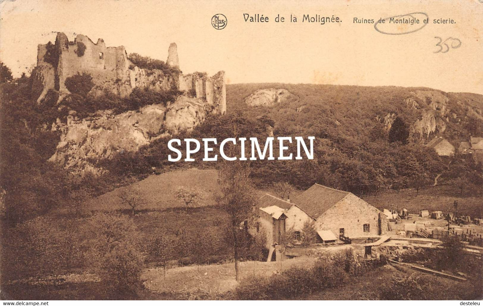 Ruines De Montaigle Et Sclerie - Montaigle Onhaye - Onhaye