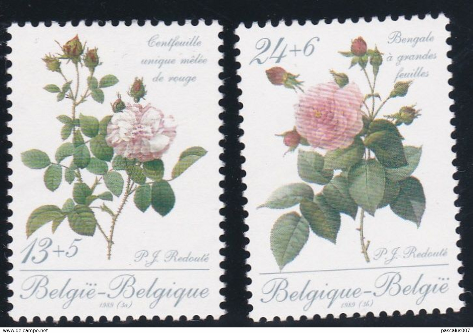 B01-374 2318 2319 Enveloppe + Timbres Xx FDC Pierre Joseph Redouté 1759 1840 Roses 15-04-1989 9219 Gent Brugge - Avis Changement Adresse