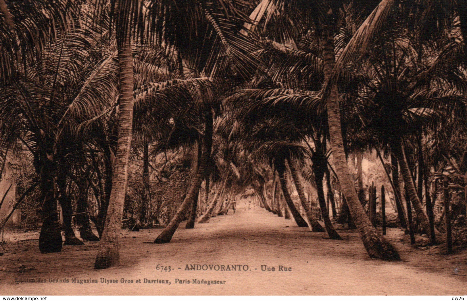 Madagascar - Andovoranto - Une Rue Sous Les Palmiers - Edition Grands Magasins Gros - Carte N°6743 Non Circulée - Madagaskar