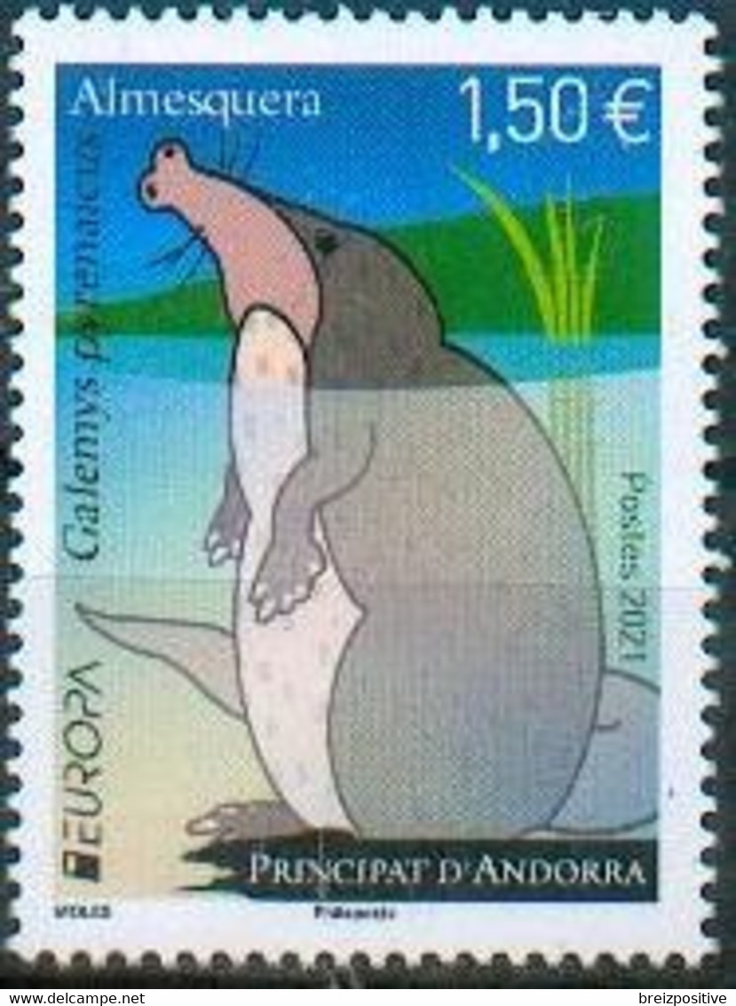 Andorre Français / French Andorra 2021 - Europa, Desman Des Pyrénées / Galemys Pyrenaicus / Pyrenean Desman - MNH - Rodents