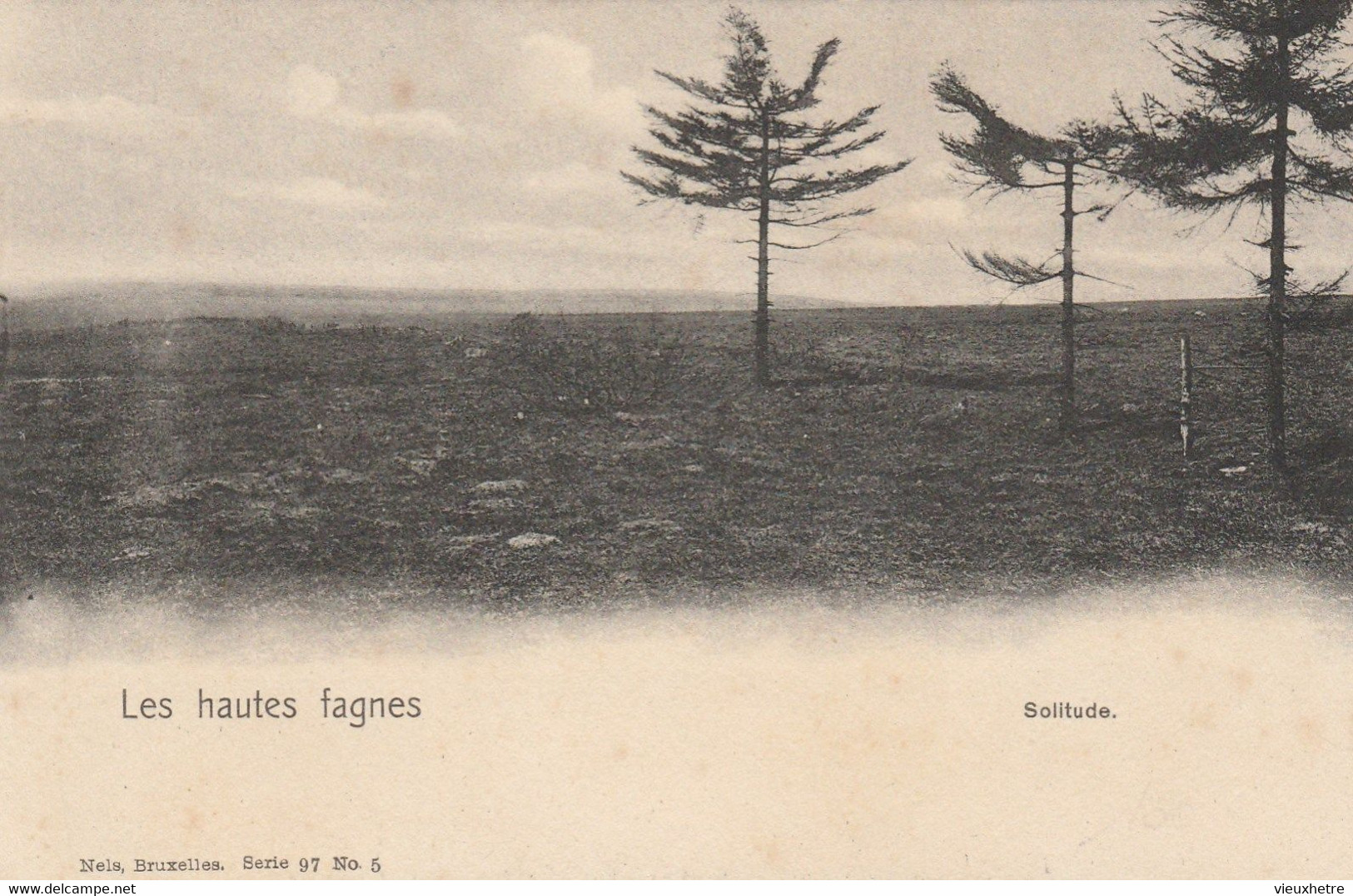 Région MALMEDY  WAIMES HAUTES FAGNES - Waimes - Weismes