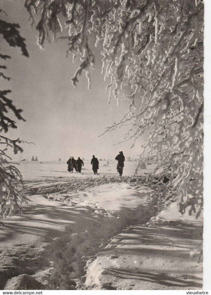 Région MALMEDY  WAIMES HAUTES FAGNES - Weismes