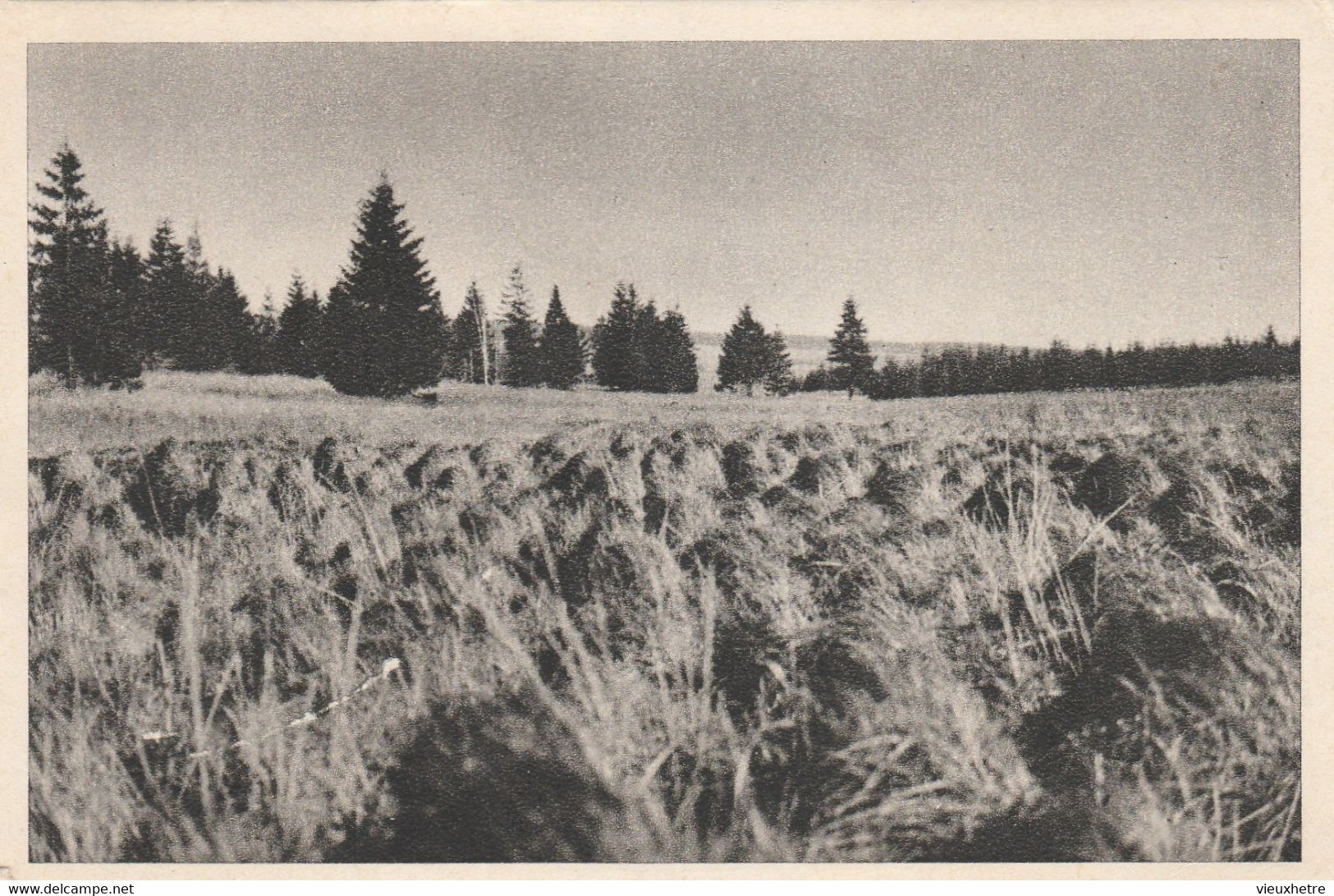 Région MALMEDY  WAIMES HAUTES FAGNES - Weismes