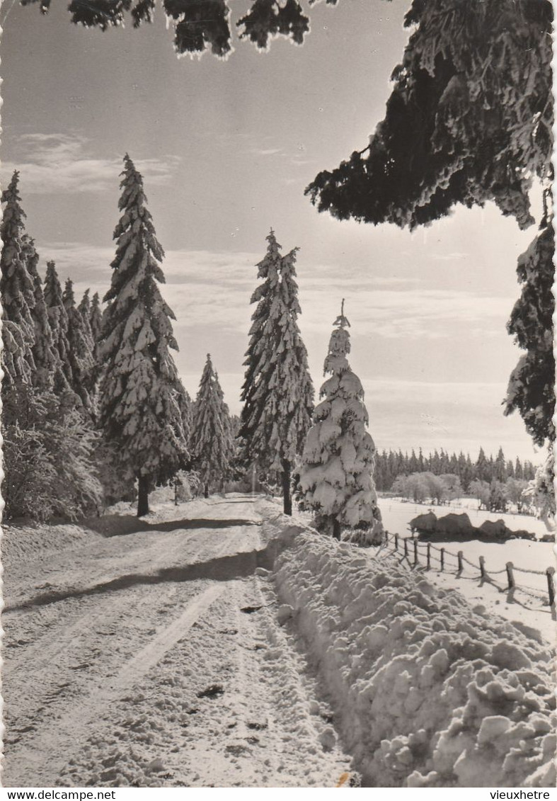 Région MALMEDY  WAIMES HAUTES FAGNES - Weismes