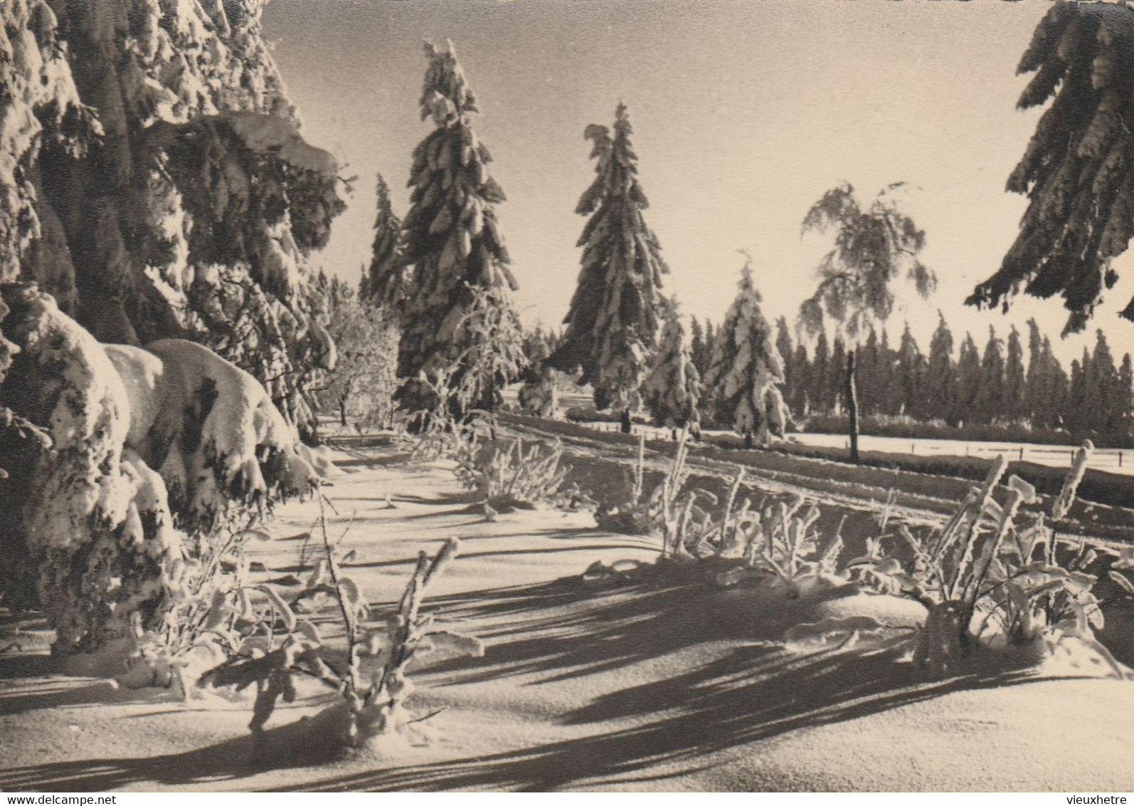 Région MALMEDY  WAIMES HAUTES FAGNES - Weismes