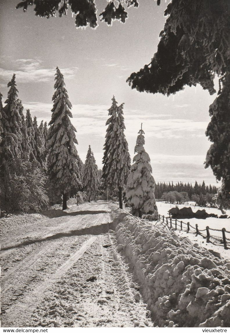 Région MALMEDY  WAIMES HAUTES FAGNES - Weismes