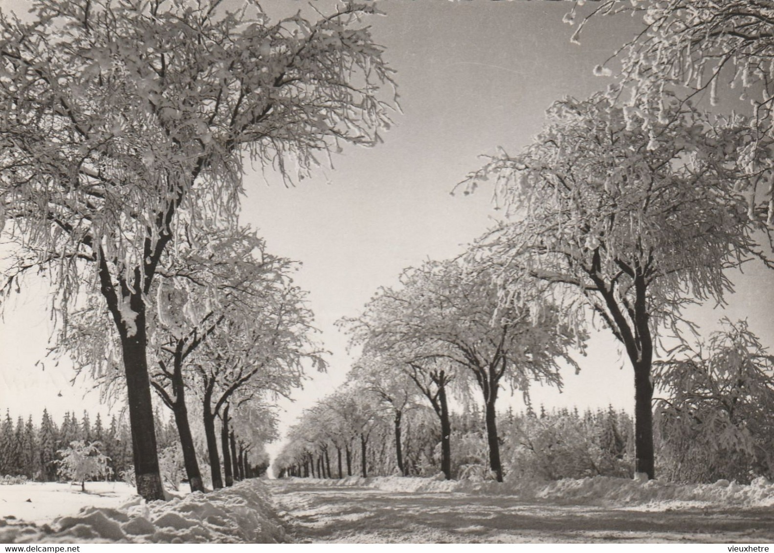 Région MALMEDY  WAIMES HAUTES FAGNES - Weismes