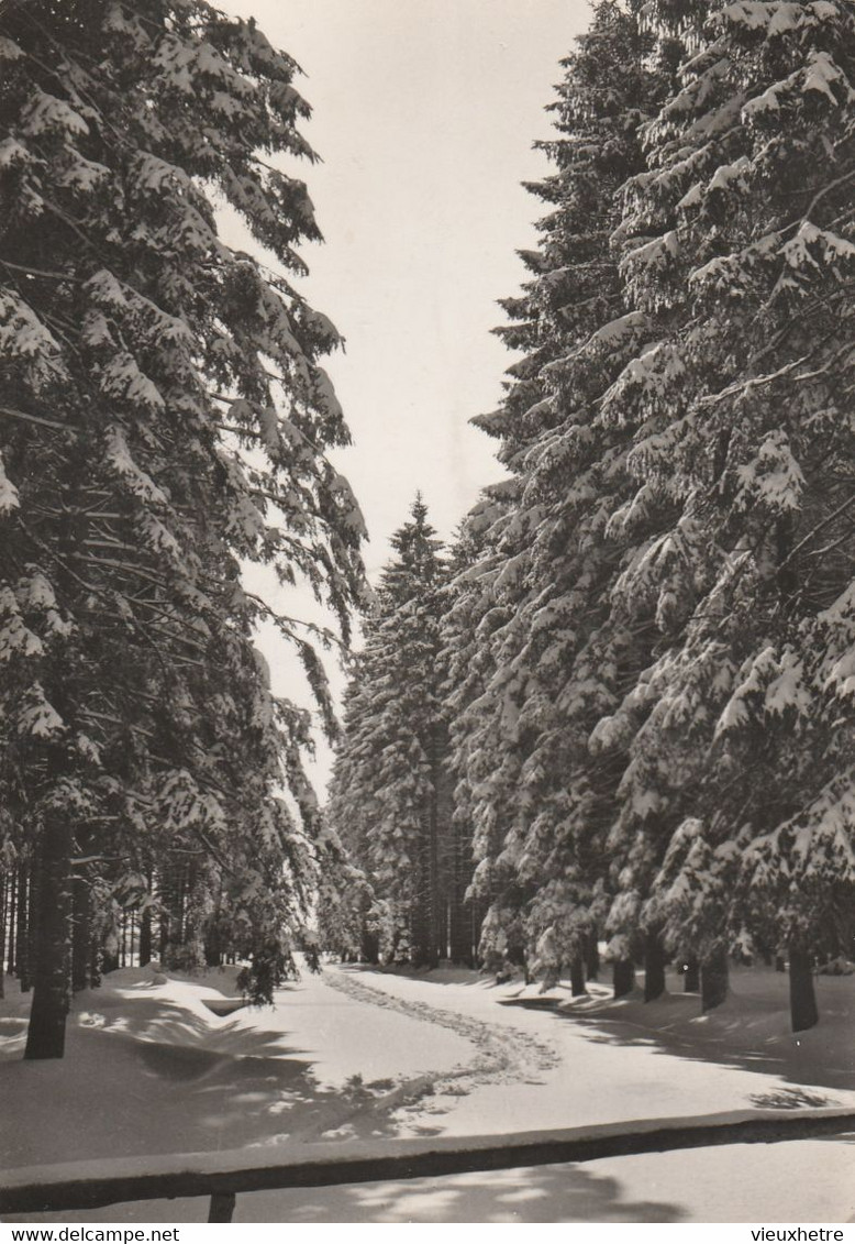 Région MALMEDY  WAIMES HAUTES FAGNES - Weismes