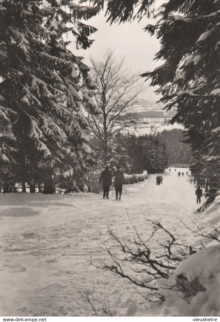 Région MALMEDY  WAIMES HAUTES FAGNES - Waimes - Weismes