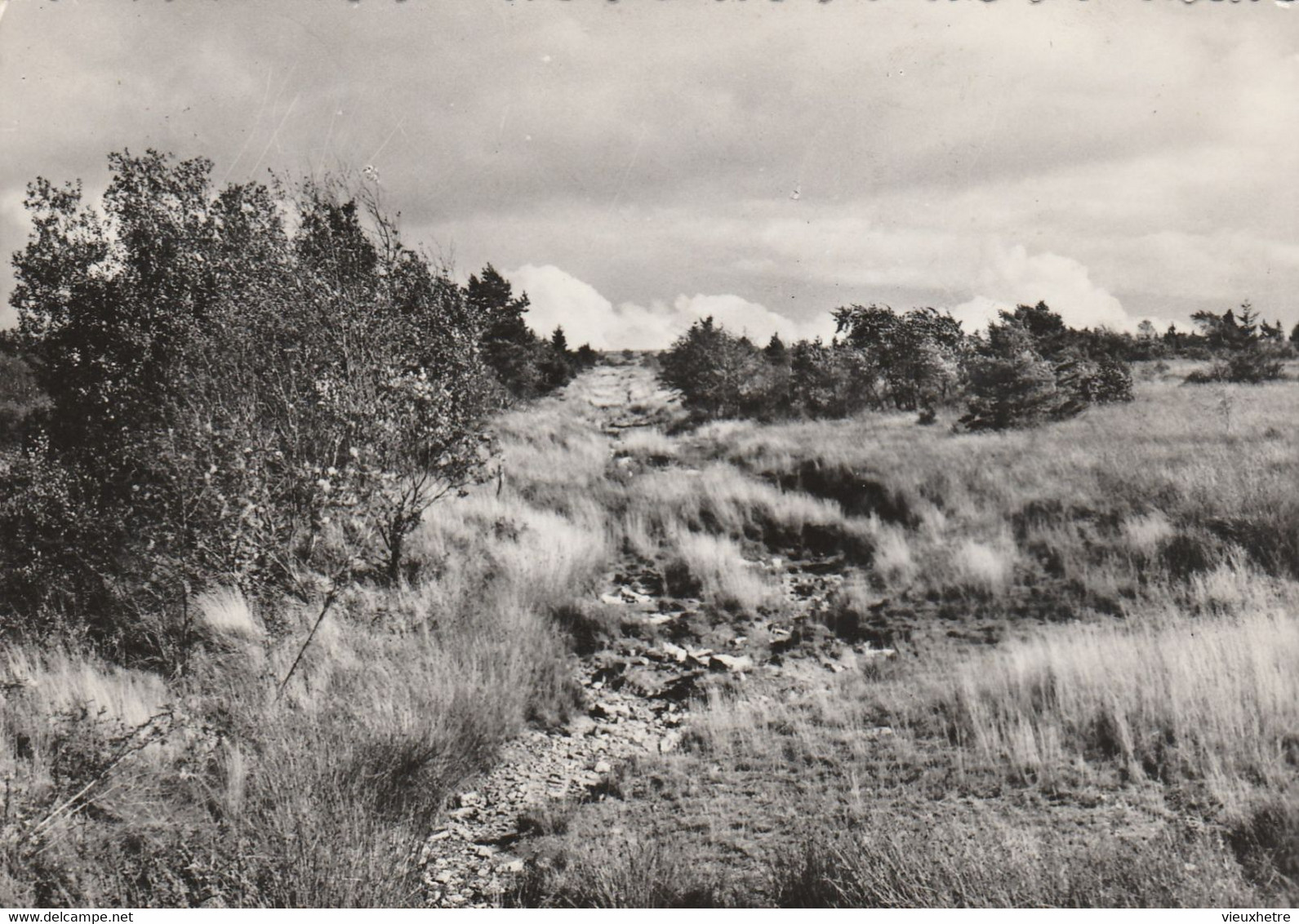 Région MALMEDY  WAIMES HAUTES FAGNES - Waimes - Weismes