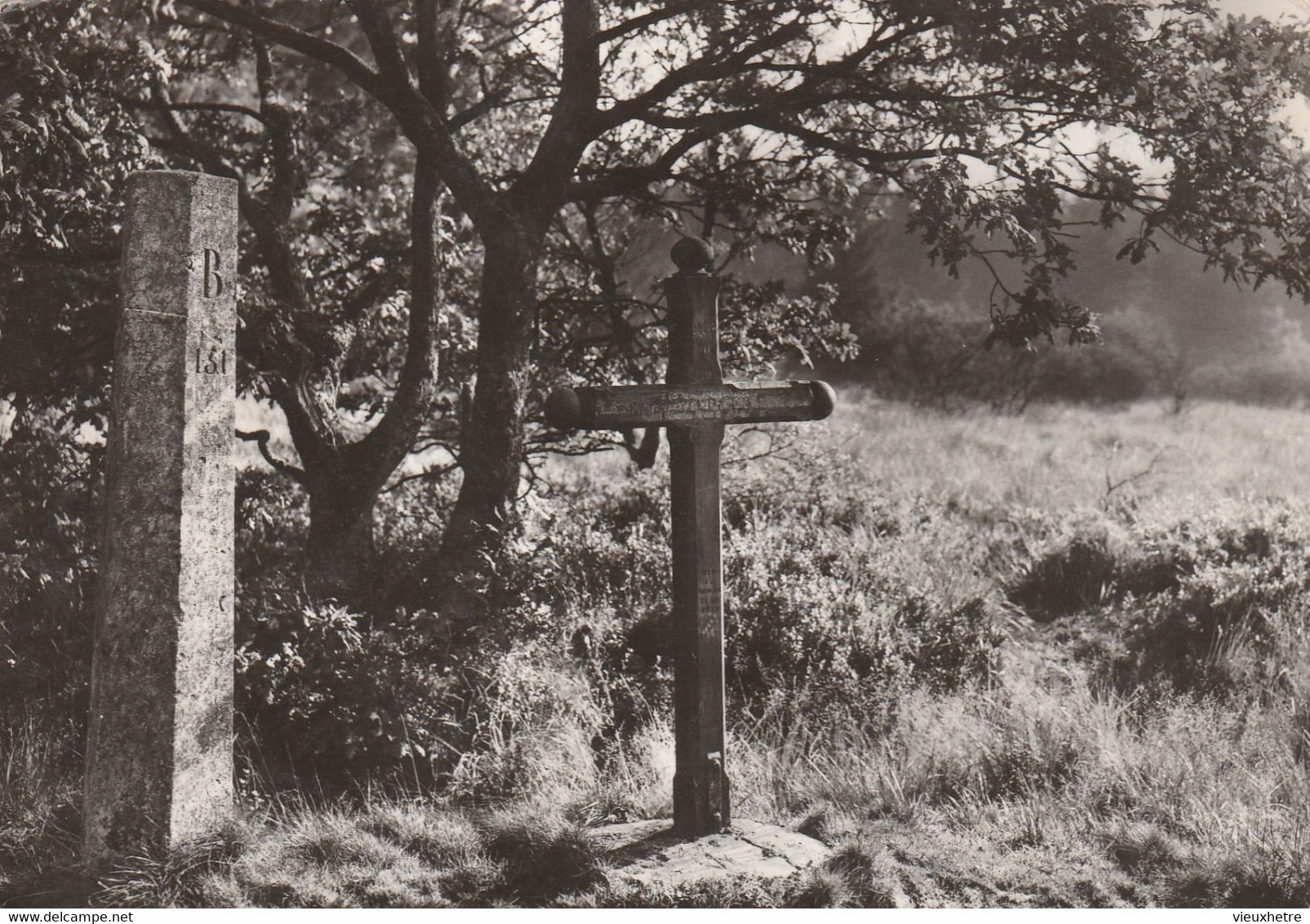 Région MALMEDY  WAIMES HAUTES FAGNES - Waimes - Weismes