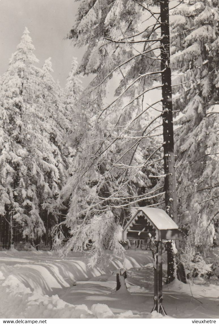 Région MALMEDY  WAIMES HAUTES FAGNES - Weismes