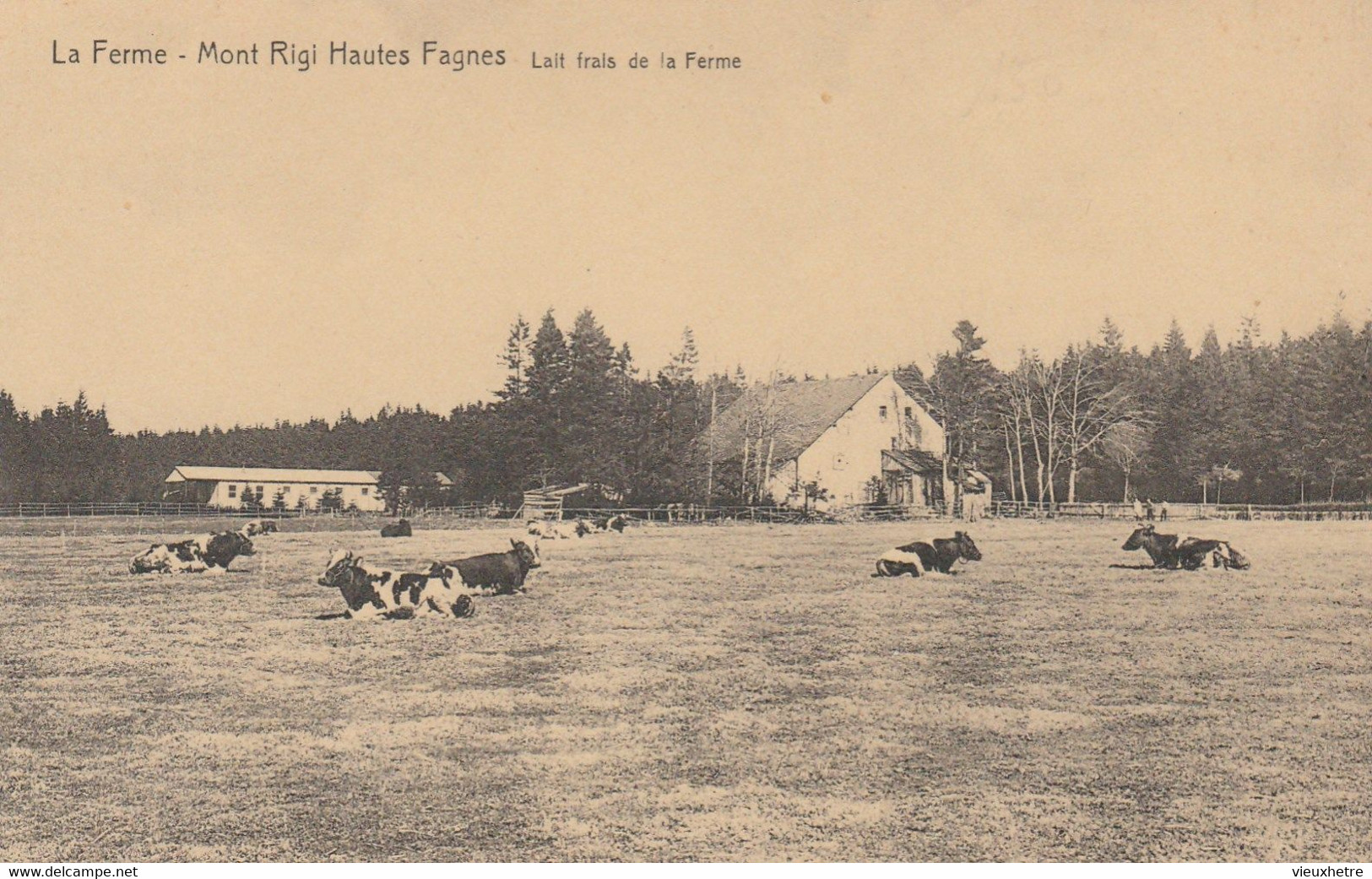 Région MALMEDY  WAIMES HAUTES FAGNES - Weismes