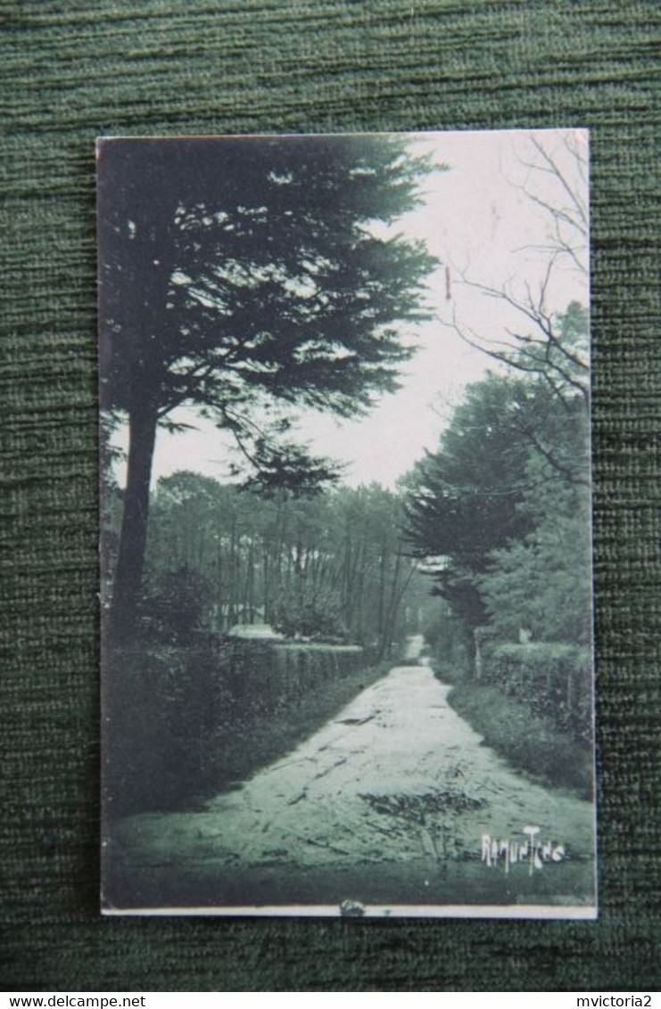 Ile De NORMOUTIER - Bois De La Chaize - Ile De Noirmoutier