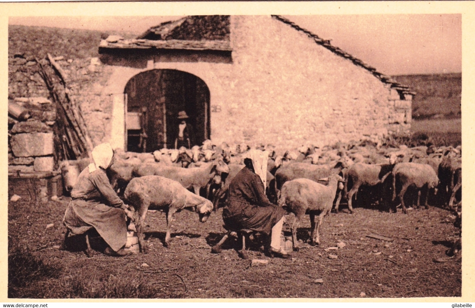 12 - Aveyron - ROQUEFORT -   Ferme Sur Les Causses - Roquefort