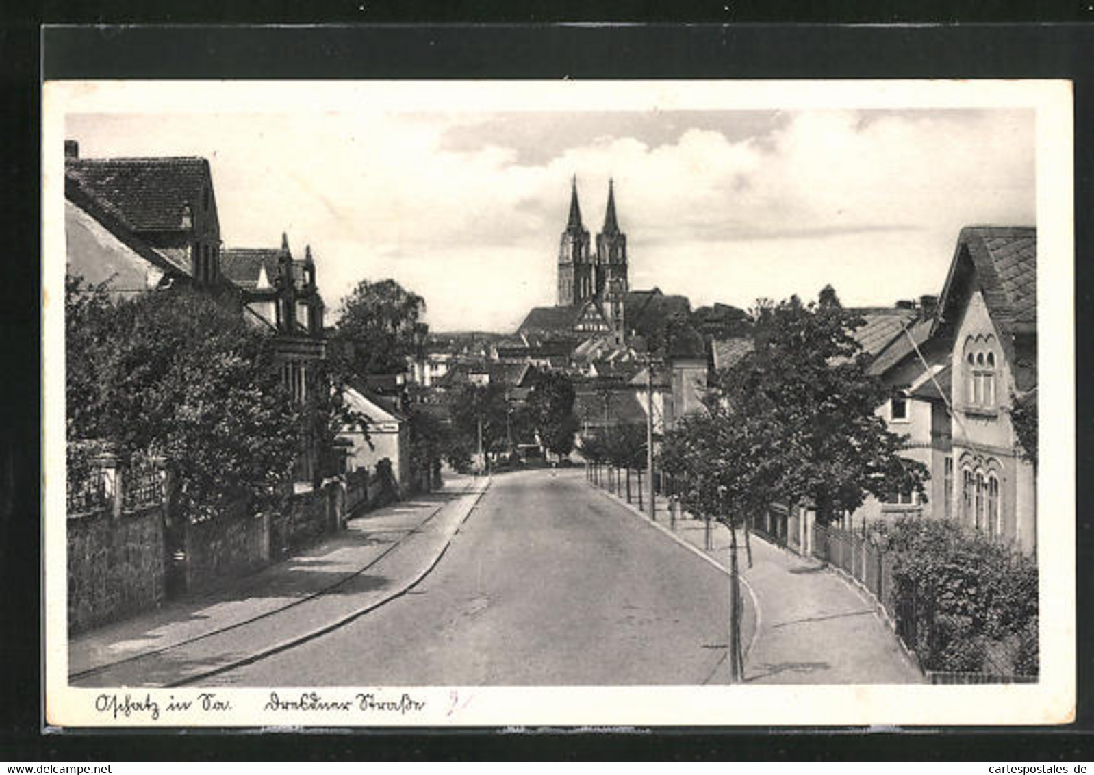 AK Oschatz I. Sa., Blick Auf Die Dresdner Strasse - Oschatz