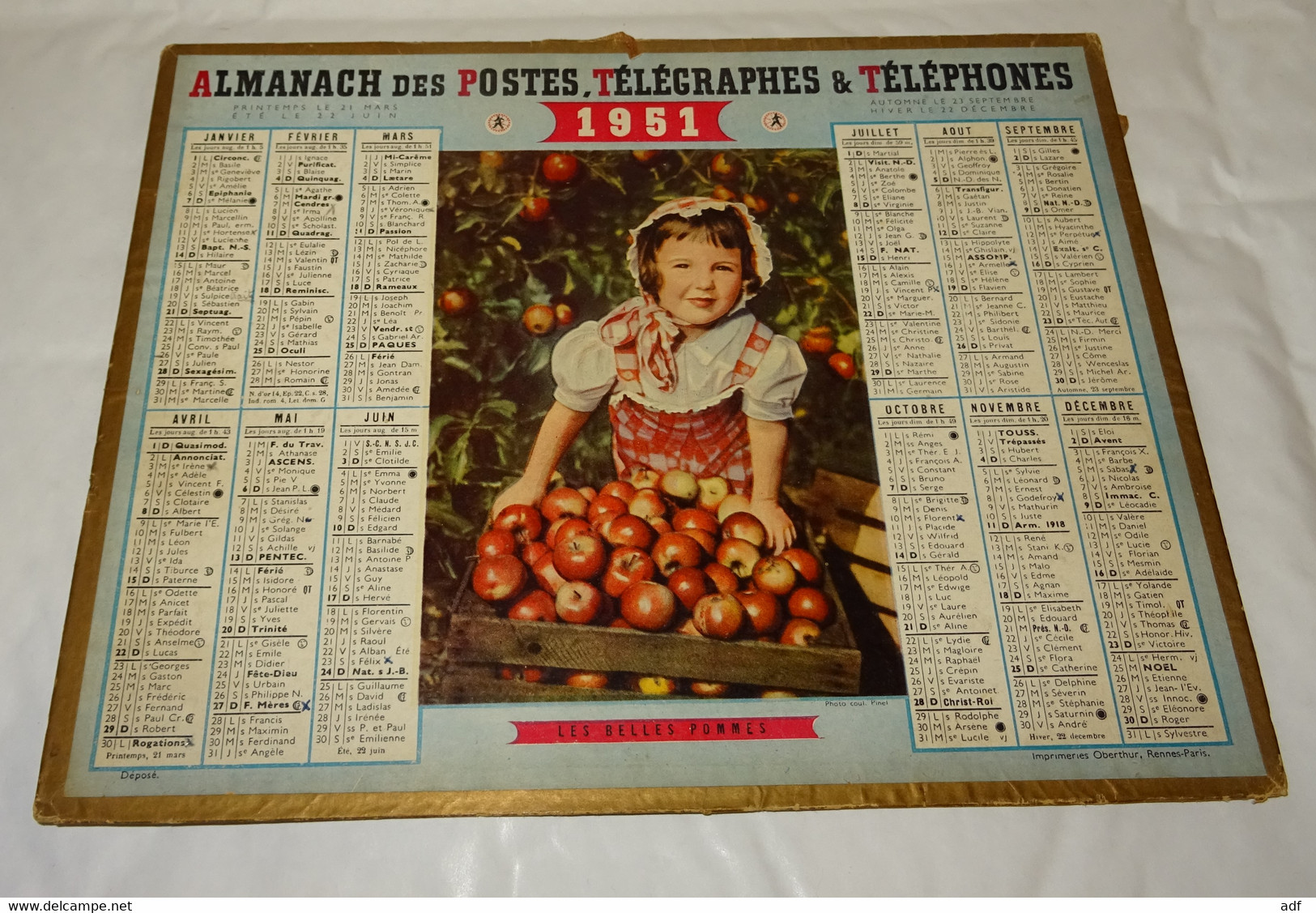 1951 CALENDRIER ALMANACH DES PTT, LES BELLES POMMES, OBERTHUR, ARDENNES 08 - Grand Format : 1941-60