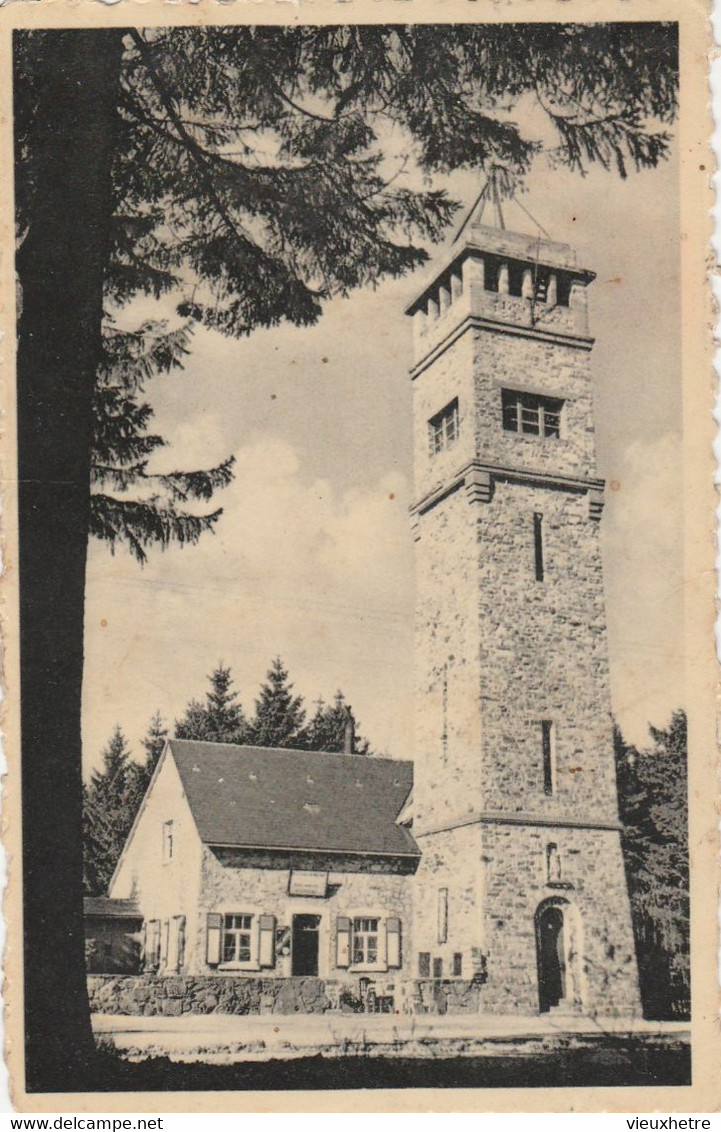 Région MALMEDY  WAIMES  HAUTES FAGNES   MONT RIGI   BARAQUE MICHEL - Waimes - Weismes