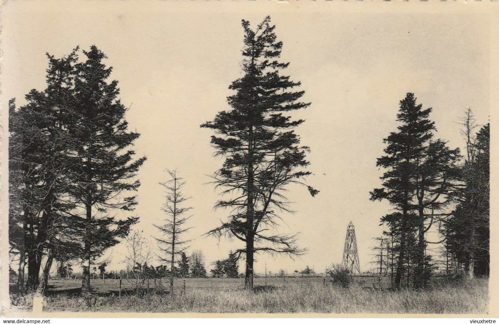 Région MALMEDY  WAIMES  HAUTES FAGNES   MONT RIGI   BARAQUE MICHEL - Weismes