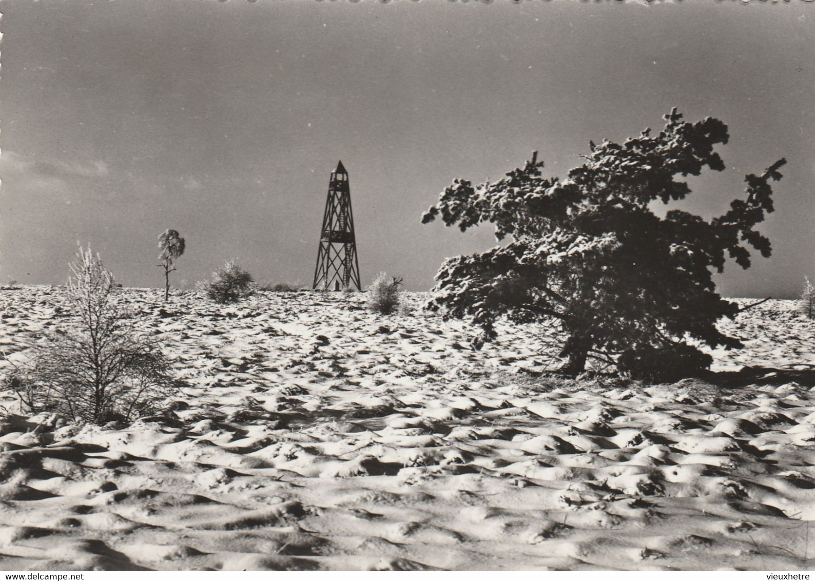 Région MALMEDY  WAIMES  HAUTES FAGNES   MONT RIGI   BARAQUE MICHEL - Waimes - Weismes