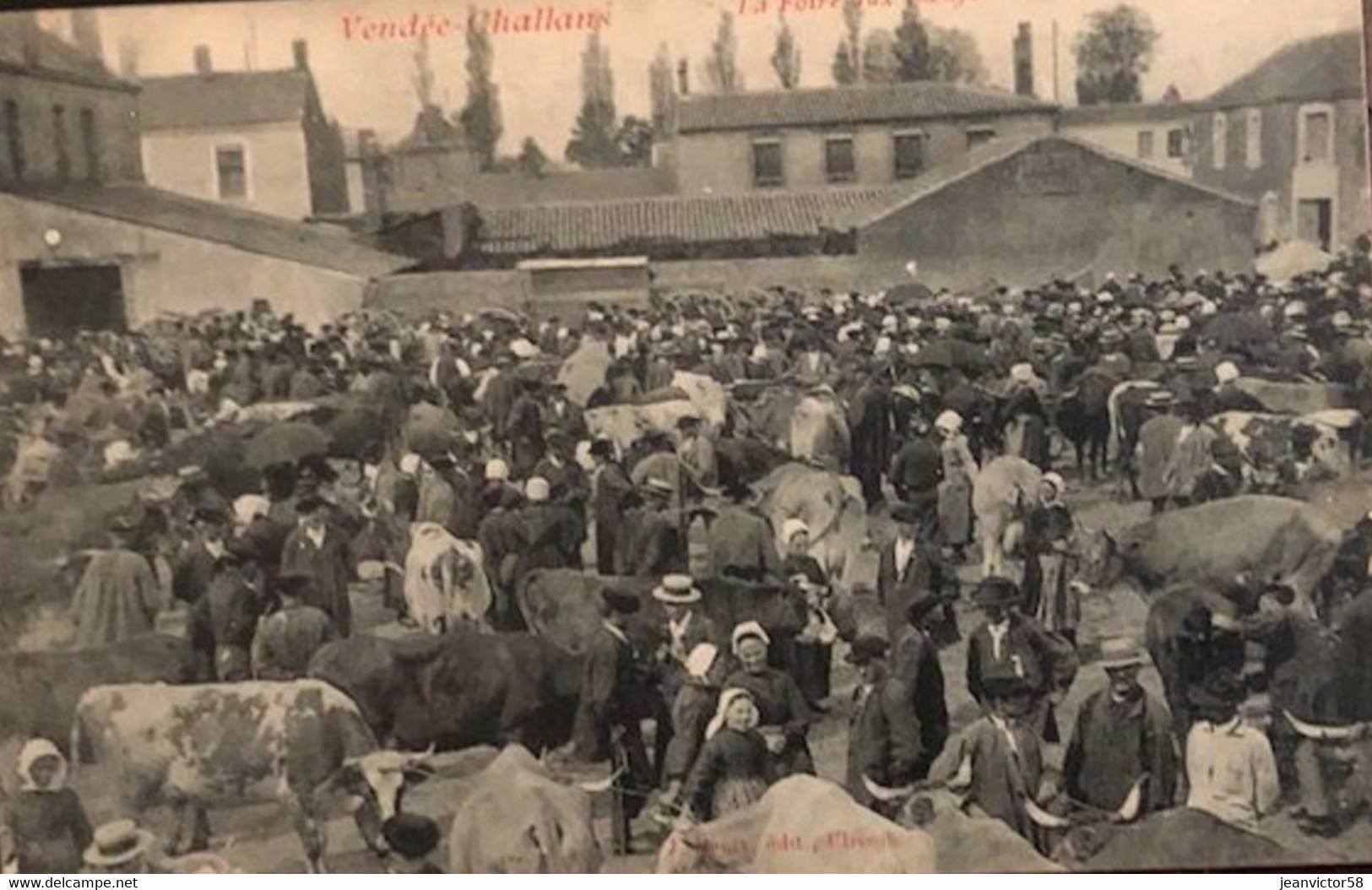 Vendée-Challans La Foire Aux Boeufs - Challans