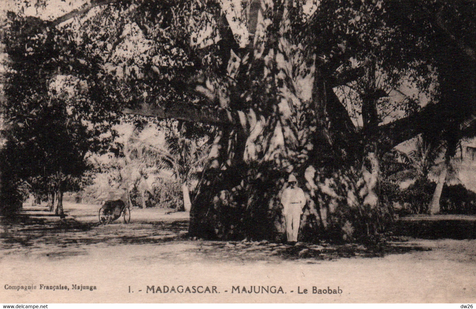 Madagascar - Majunga: Le Baobab - Carte L'Abeille N° 1 Non Circulée - Afrique