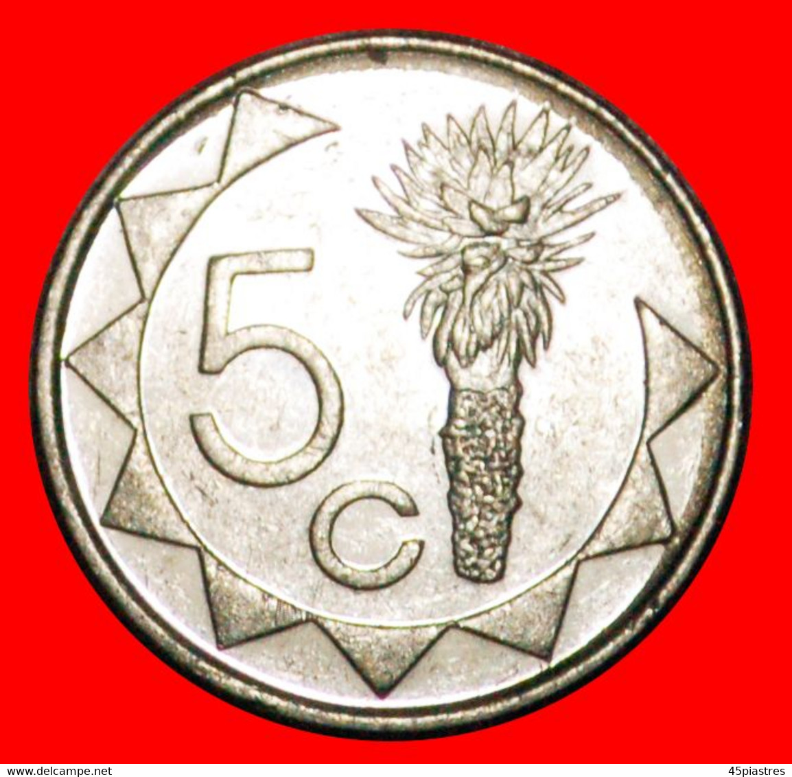 • SOUTH AFRICA (1993-2015): NAMIBIA ★ 5 CENTS 1993! LOW START ★ NO RESERVE! - Namibia