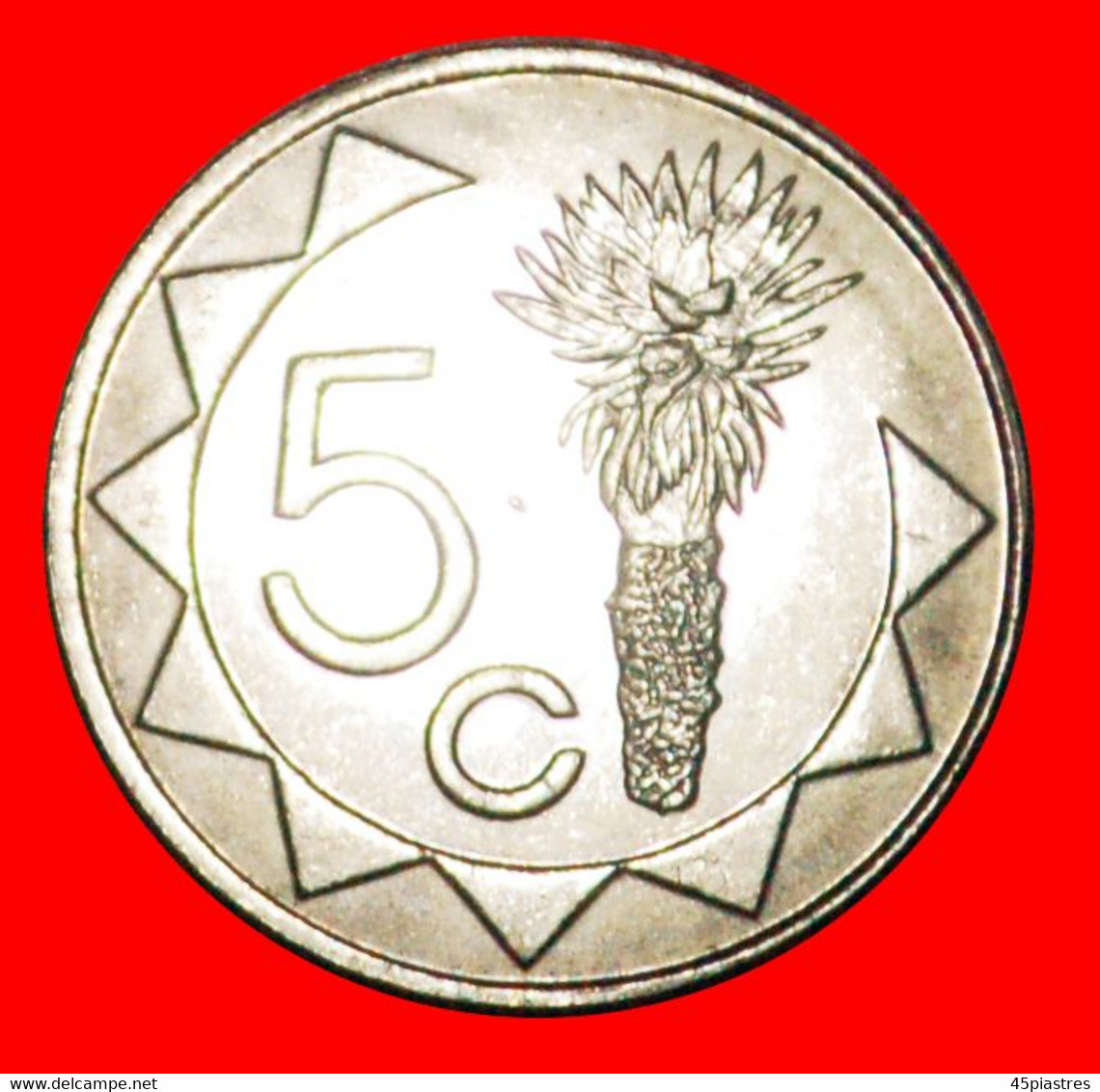 • SOUTH AFRICA (1993-2015): NAMIBIA ★ 5 CENTS 2002 MINT LUSTER! LOW START ★ NO RESERVE! - Namibië