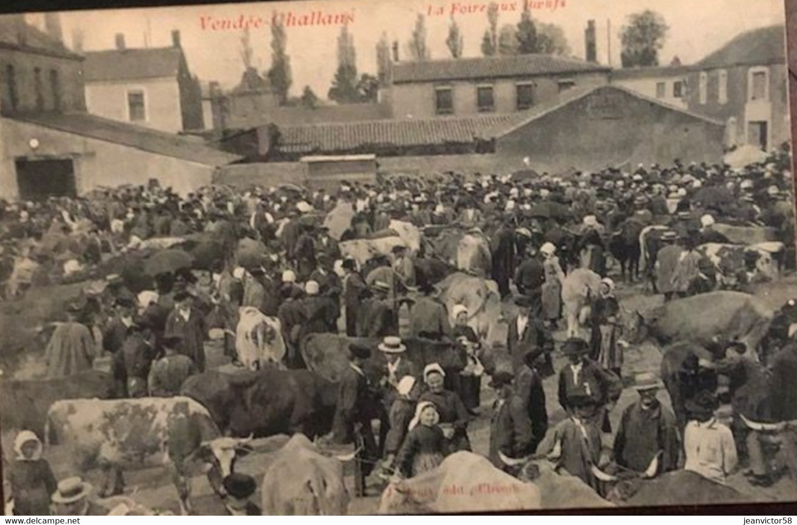 Challans La Foire Aux Boeufs - Challans