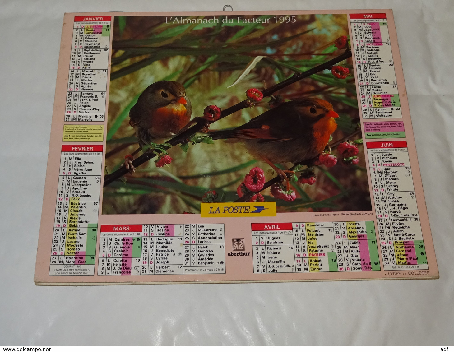 1995 CALENDRIER ( Double ) ALMANACH DU FACTEUR, LA POSTE, ROUGE GORGE, ROSSIGNOLS DU JAPON, OBERTHUR, MARNE 51 - Big : 1991-00