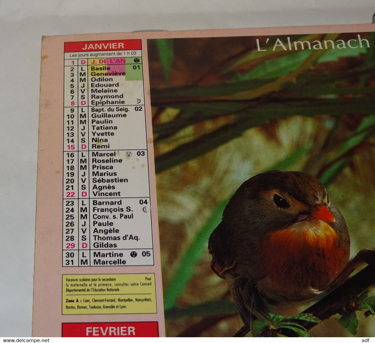 1995 CALENDRIER ( Double ) ALMANACH DU FACTEUR, LA POSTE, ROUGE GORGE, ROSSIGNOLS DU JAPON, OBERTHUR, MARNE 51 - Grand Format : 1991-00