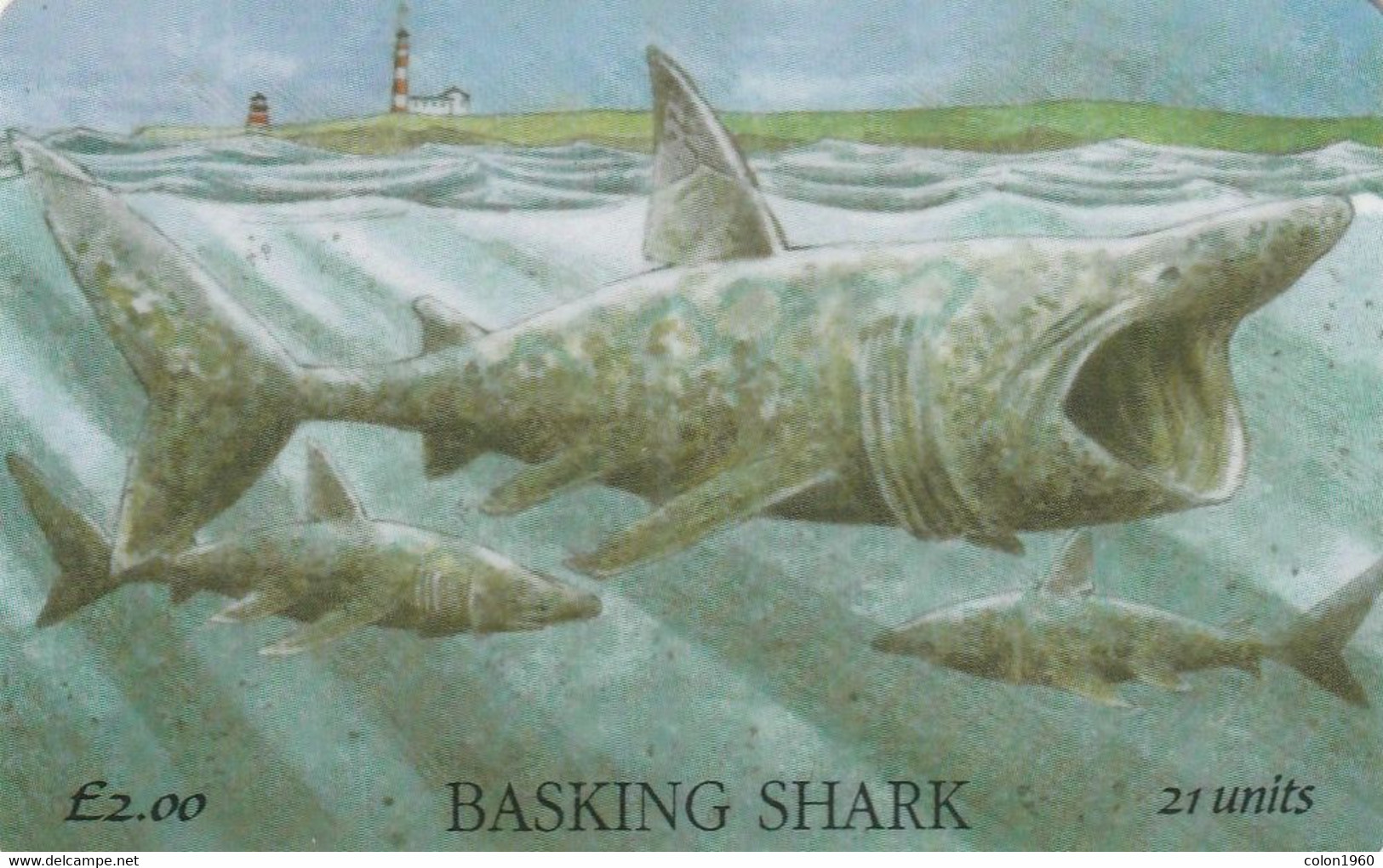 ISLE OF MAN. TIBURONES - Basking Shark. 1995-01. 10000 Ex. IM-TEL-0086. (014). - Eiland Man