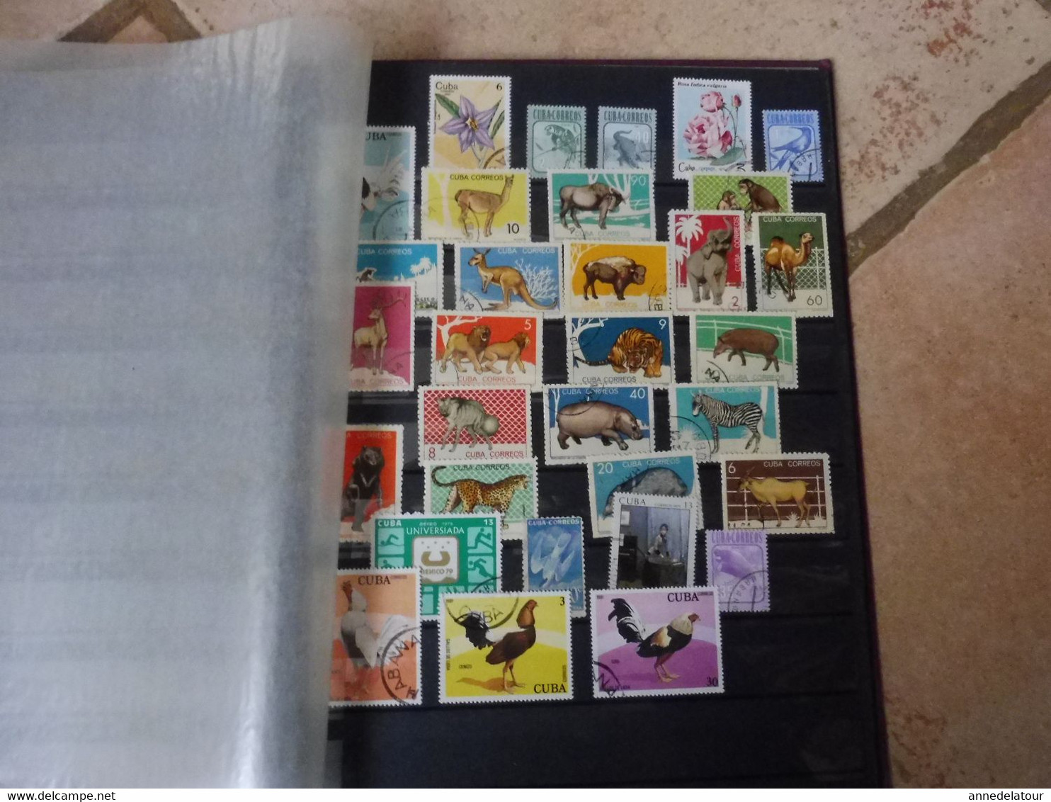 Album de timbres divers (non oblitérés et oblitérés )