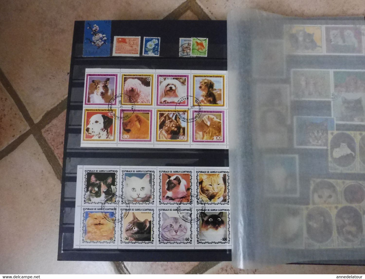 Album de timbres divers (non oblitérés et oblitérés )