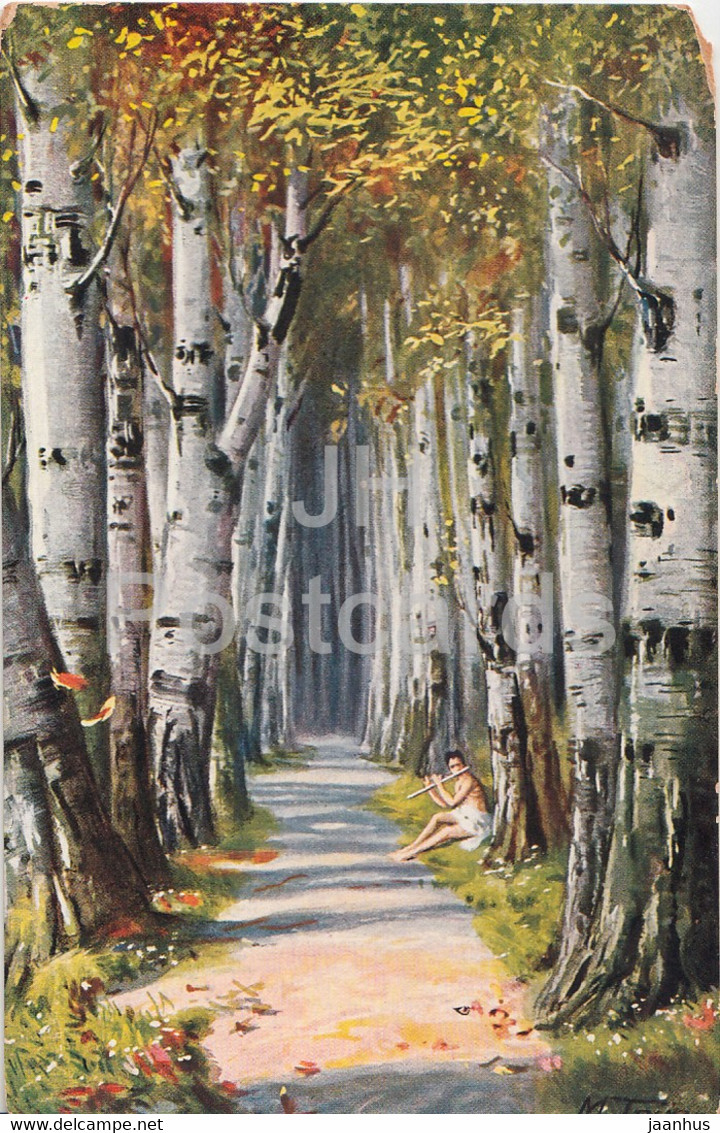 Birch Alley - Illustration By M Trube - Truebe - Series 1173 - Old Postcard - Unused - Trübe, Maxim